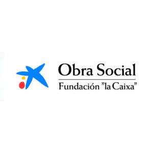 Logo-FUNDACION-LA-CAIXA-para-la-Web-300x300